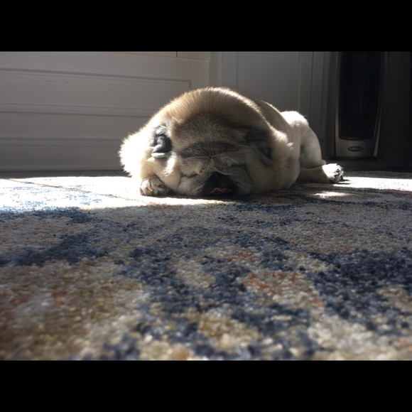 Meet your Posher, Amy - Picture 1 of 1